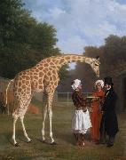 Jacques-Laurent Agasse The Nuian Giraffe (mk25) china oil painting artist